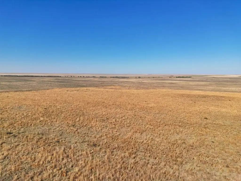 Picture 26