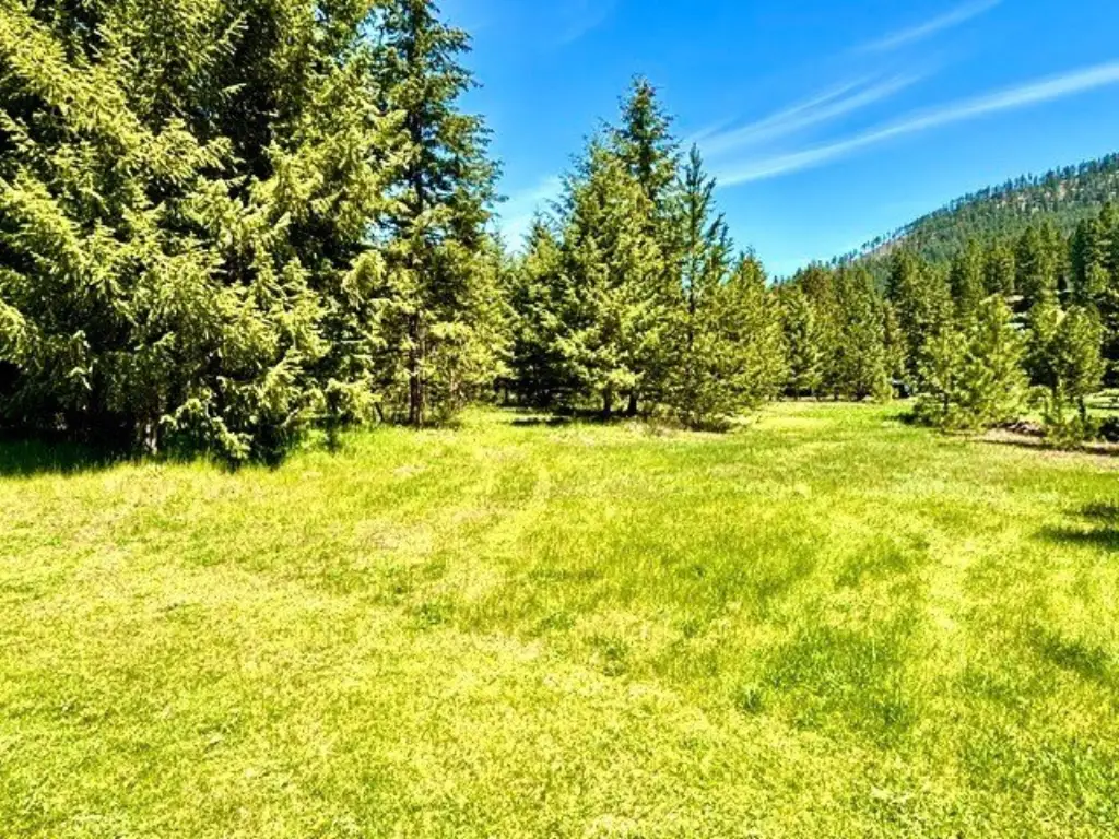 Picture 25