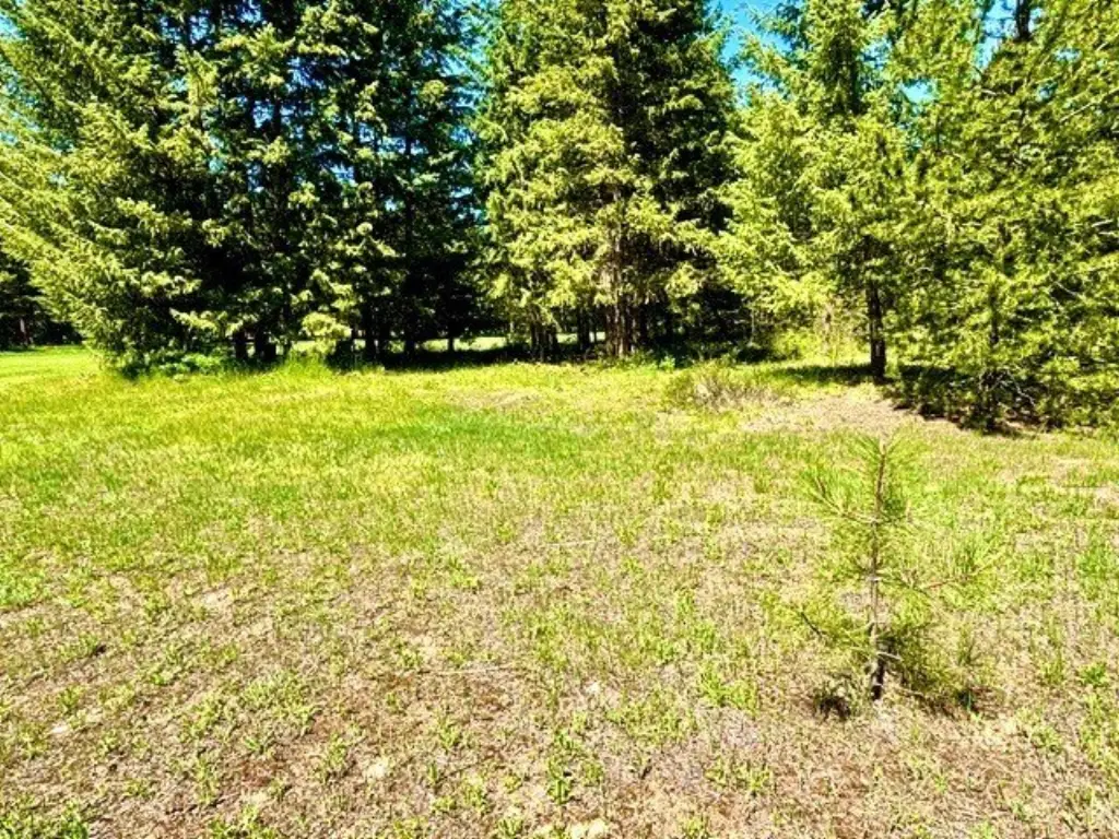 Picture 22