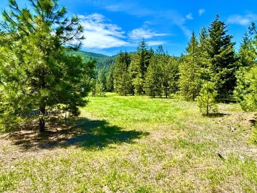 Picture 18