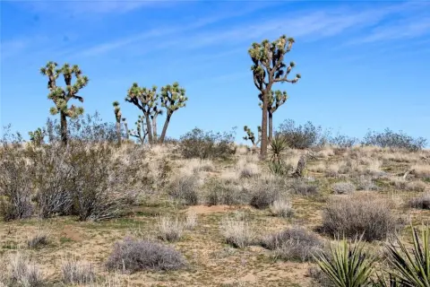 40 Acres in Yucca Valley