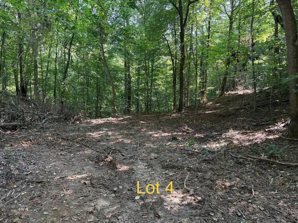 Picture 3