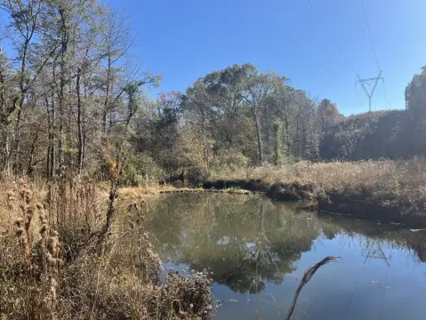 Secluded 65-Acre Creekfront Land