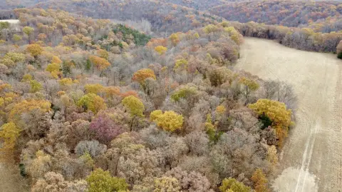 Marthasville Vacant Land Opportunity