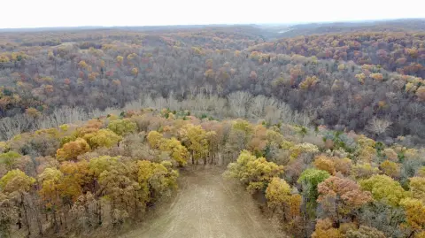 Marthasville Vacant Land Opportunity