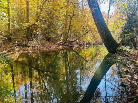 Attalla, AL Vacant Land