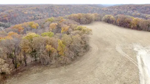 Marthasville Vacant Land Opportunity