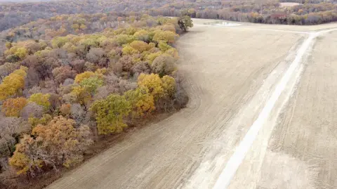 Marthasville Vacant Land Opportunity