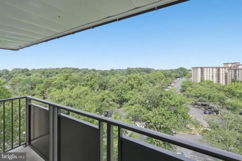 Picture 30
