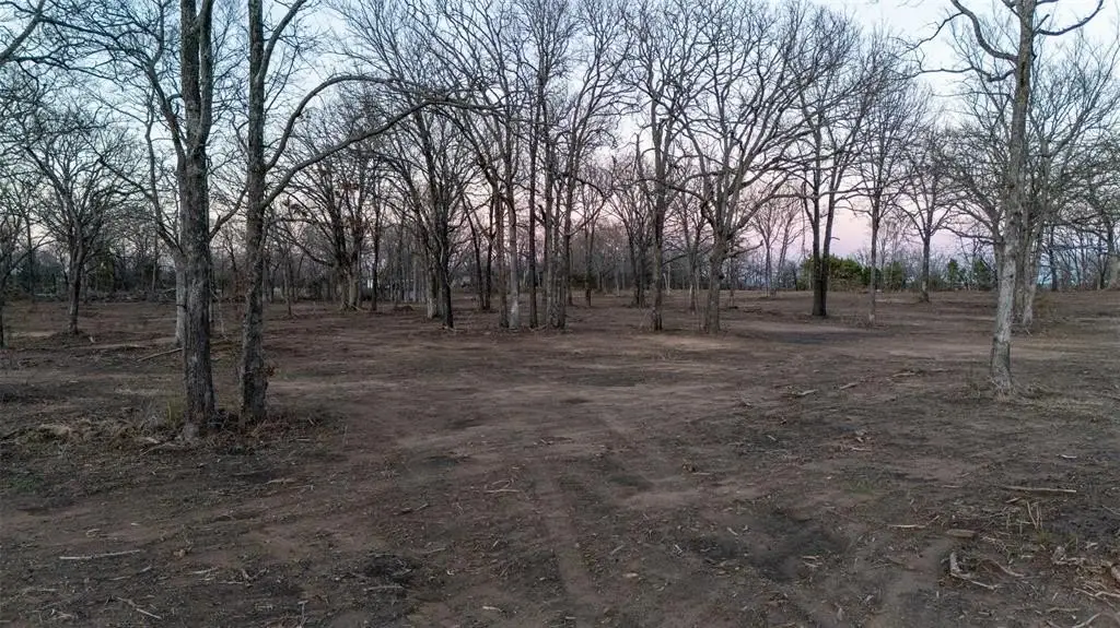 Picture 14