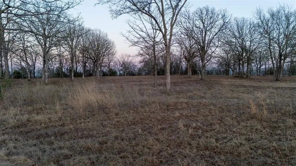 Picture 15