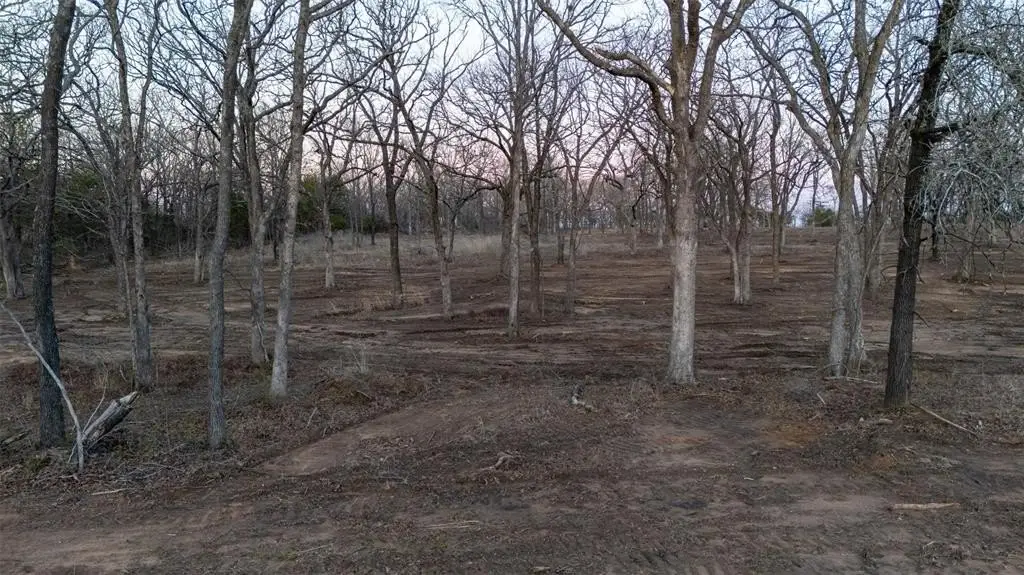 Picture 12