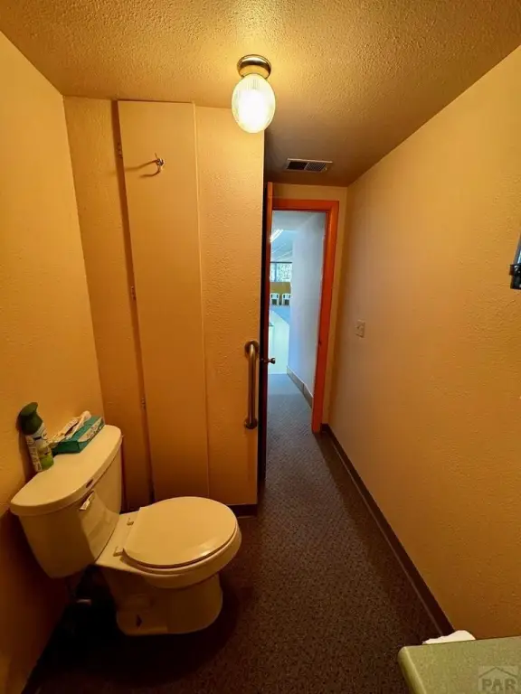 Picture 29