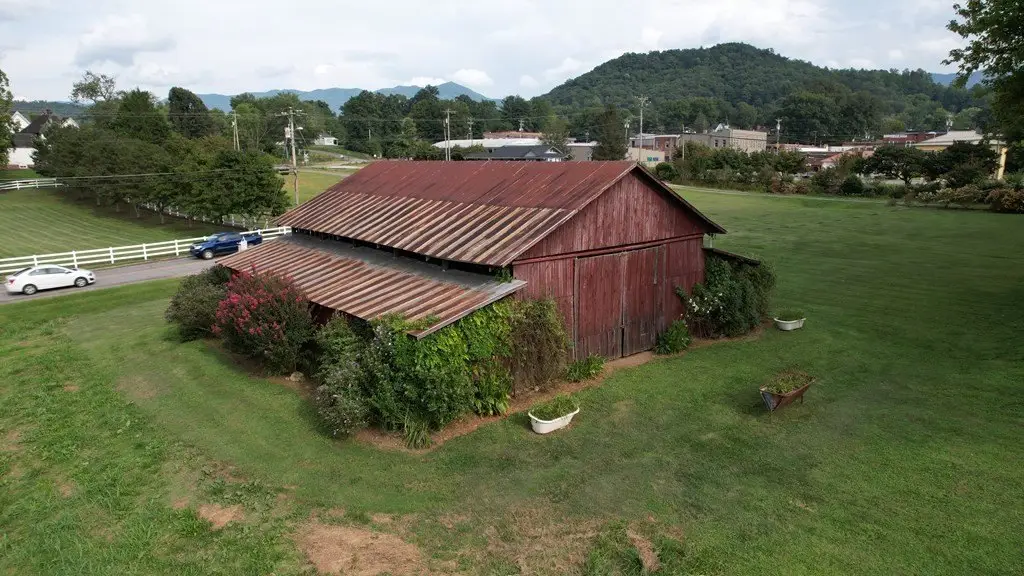 Picture 3