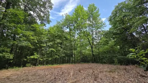 Land in Soaring Eagle Heights