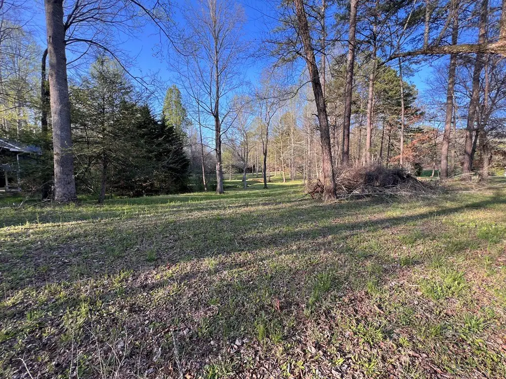 Picture 16