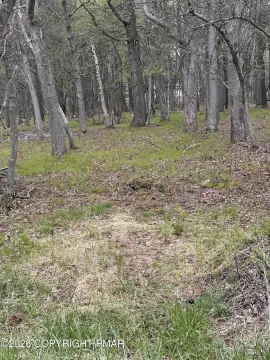 Level Lot in Towamensing Trails