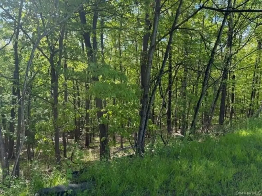 Picture 4