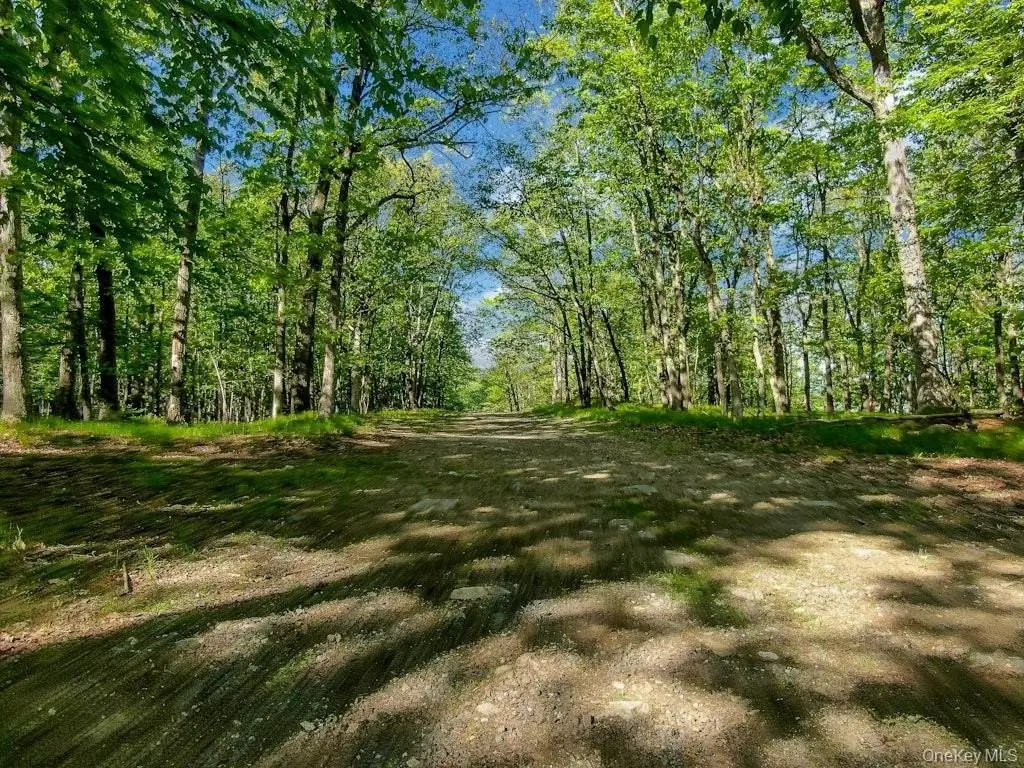 Picture 22