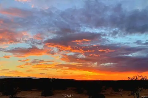 2.5 Acres in Wonder Valley