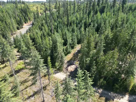 Land in Desirable Orofino Area