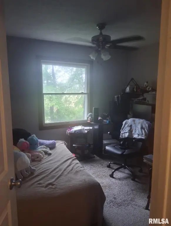 Picture 18