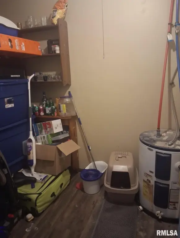 Picture 19