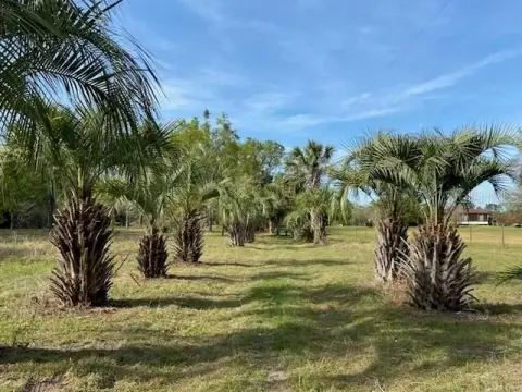 6.4 Acres Ready for Ranch