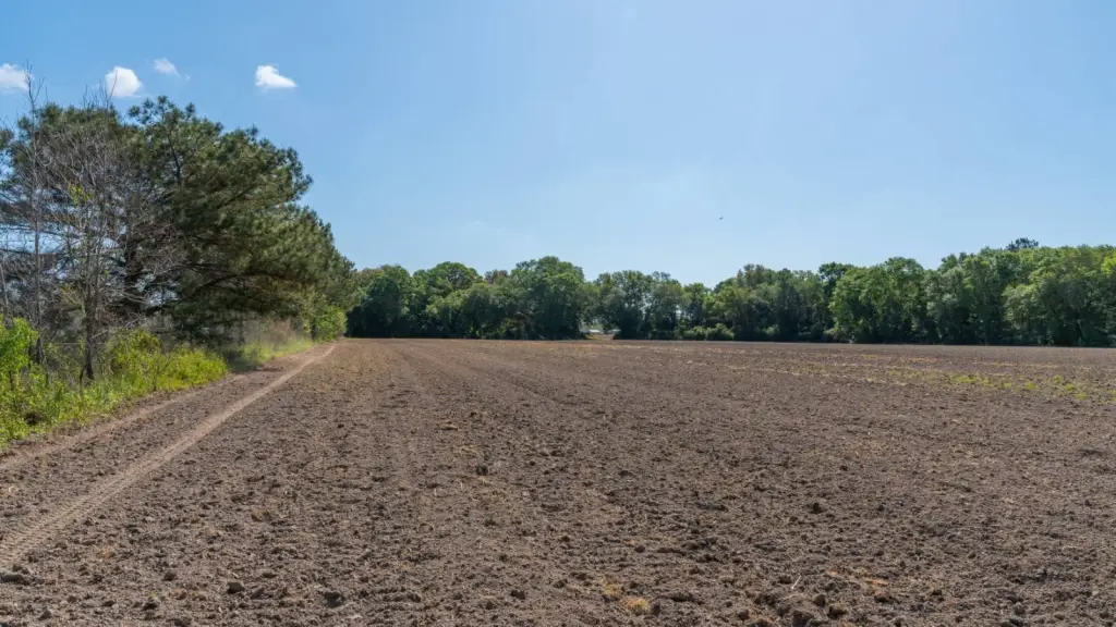 Picture 27