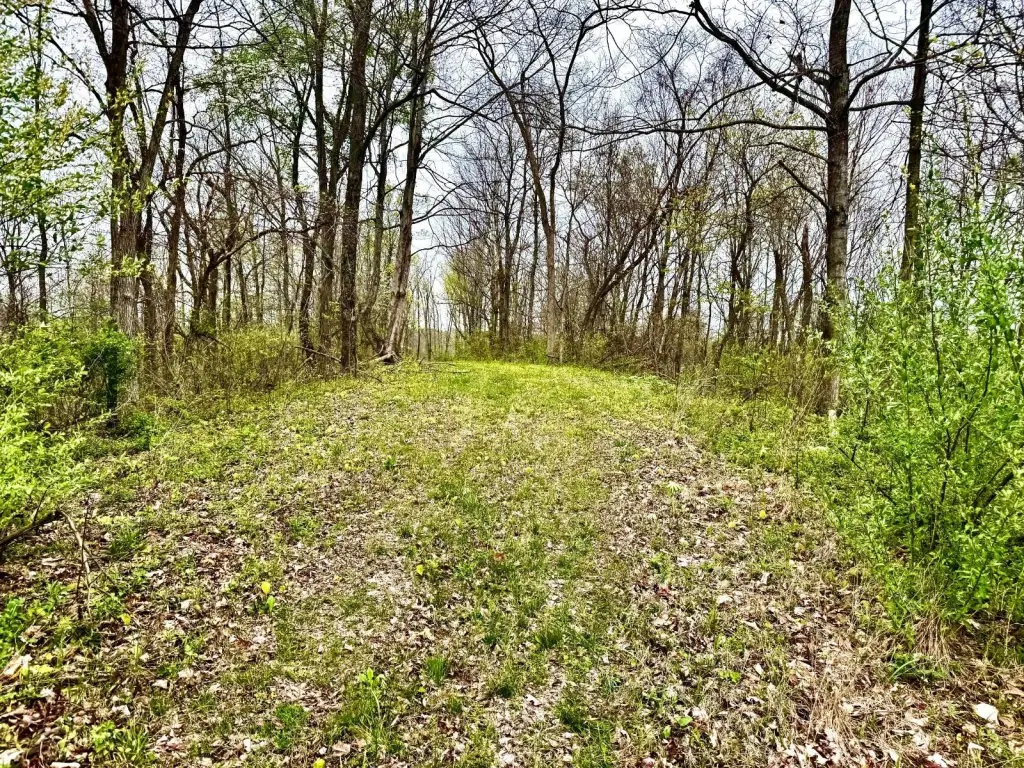 Picture 22