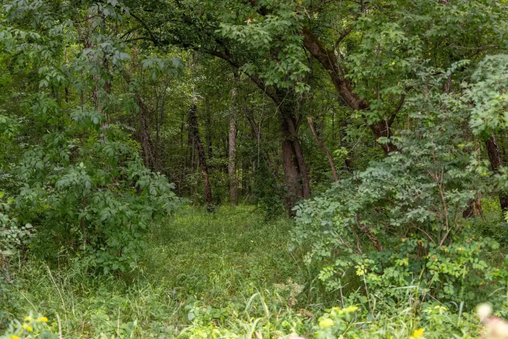 Picture 40