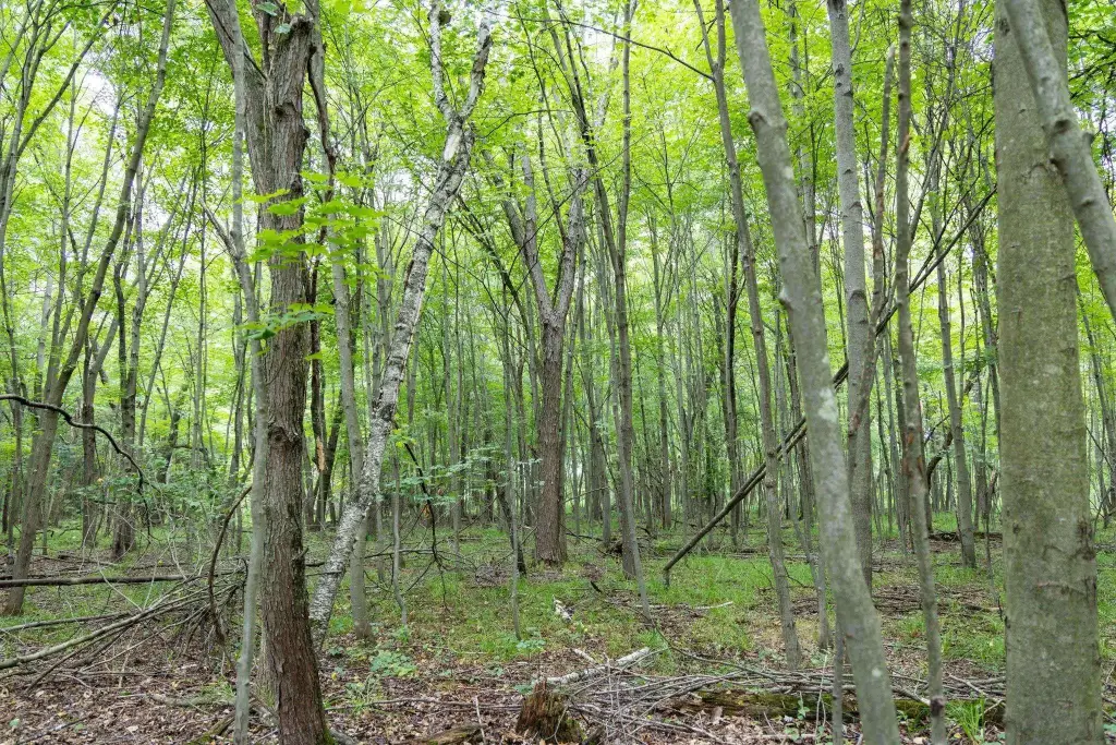 Picture 37