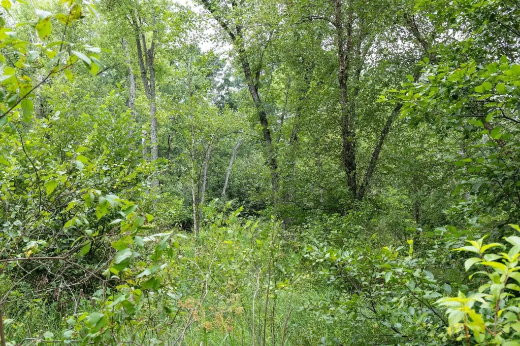 Picture 48