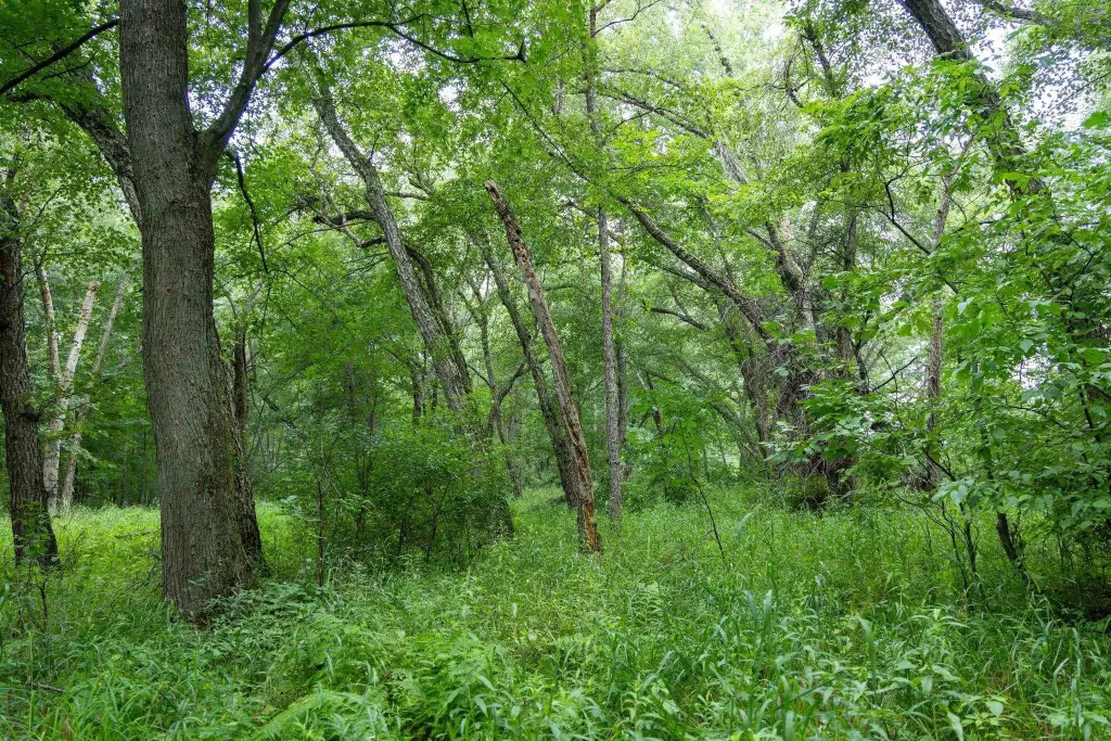 Picture 27