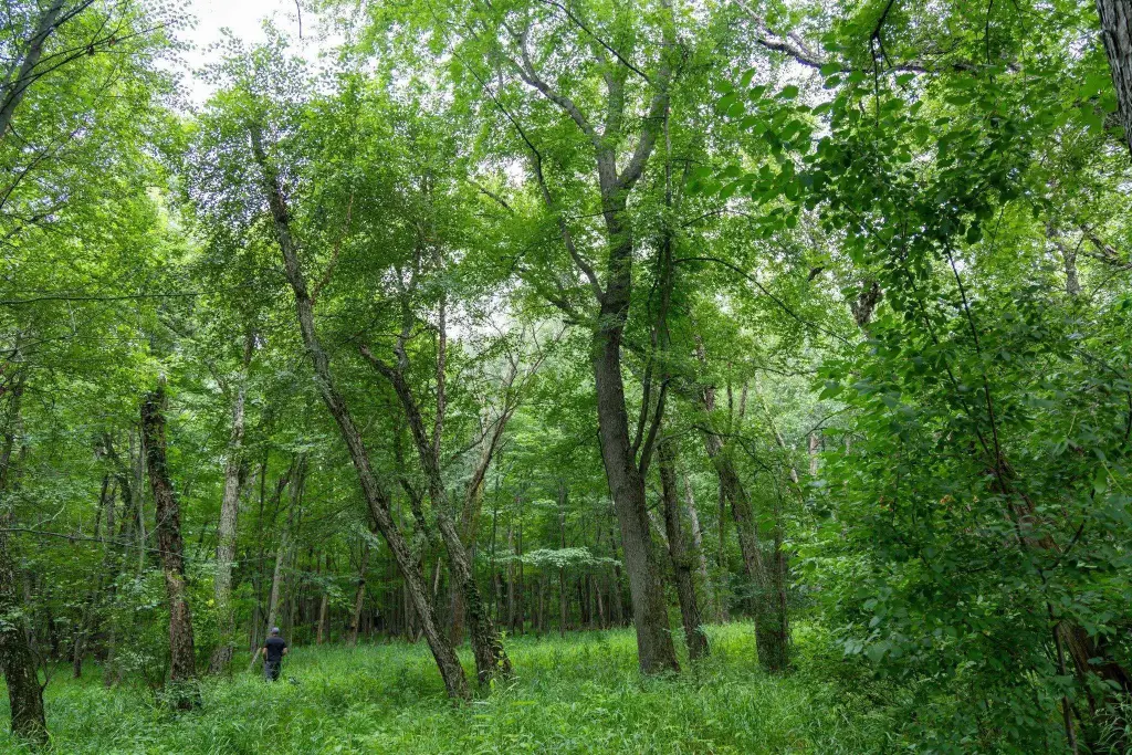 Picture 22
