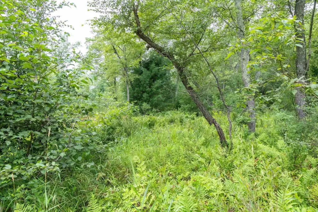 Picture 47
