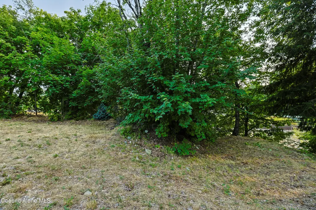 Picture 46