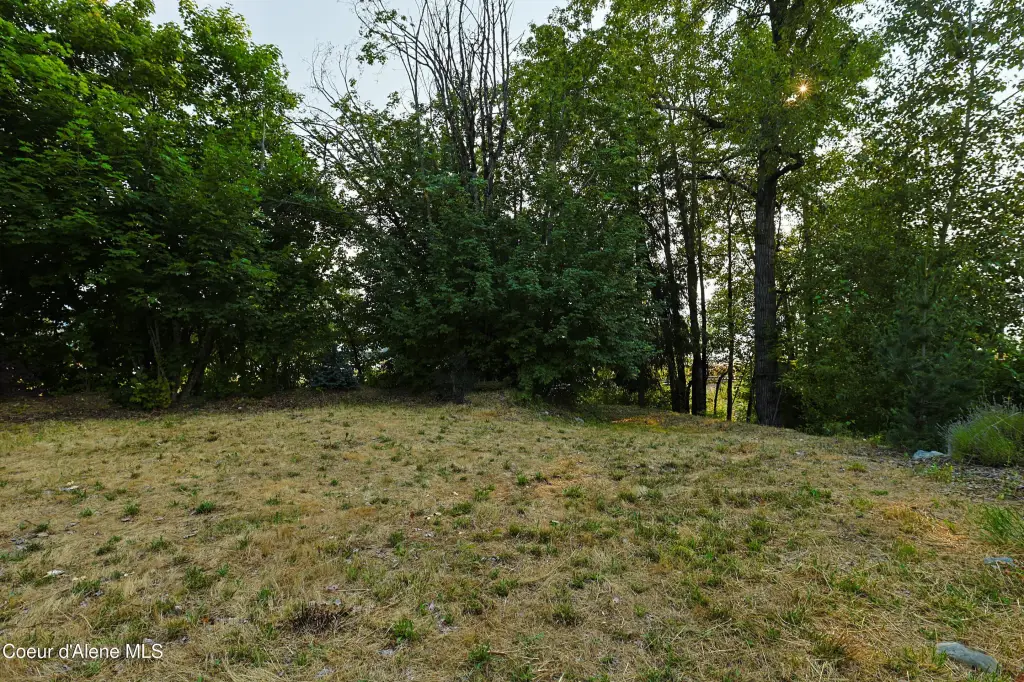 Picture 39