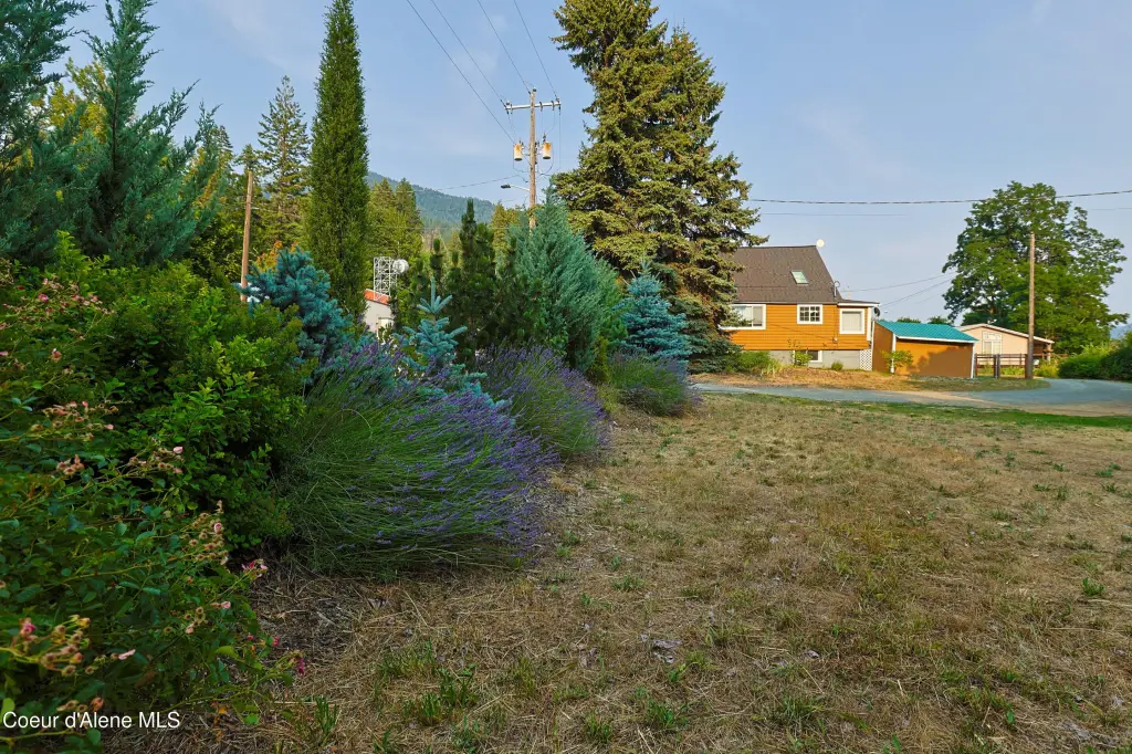 Picture 38