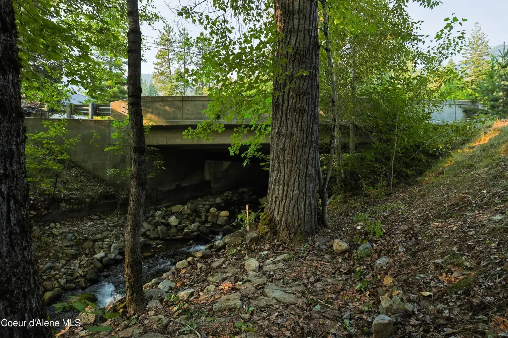 Picture 41