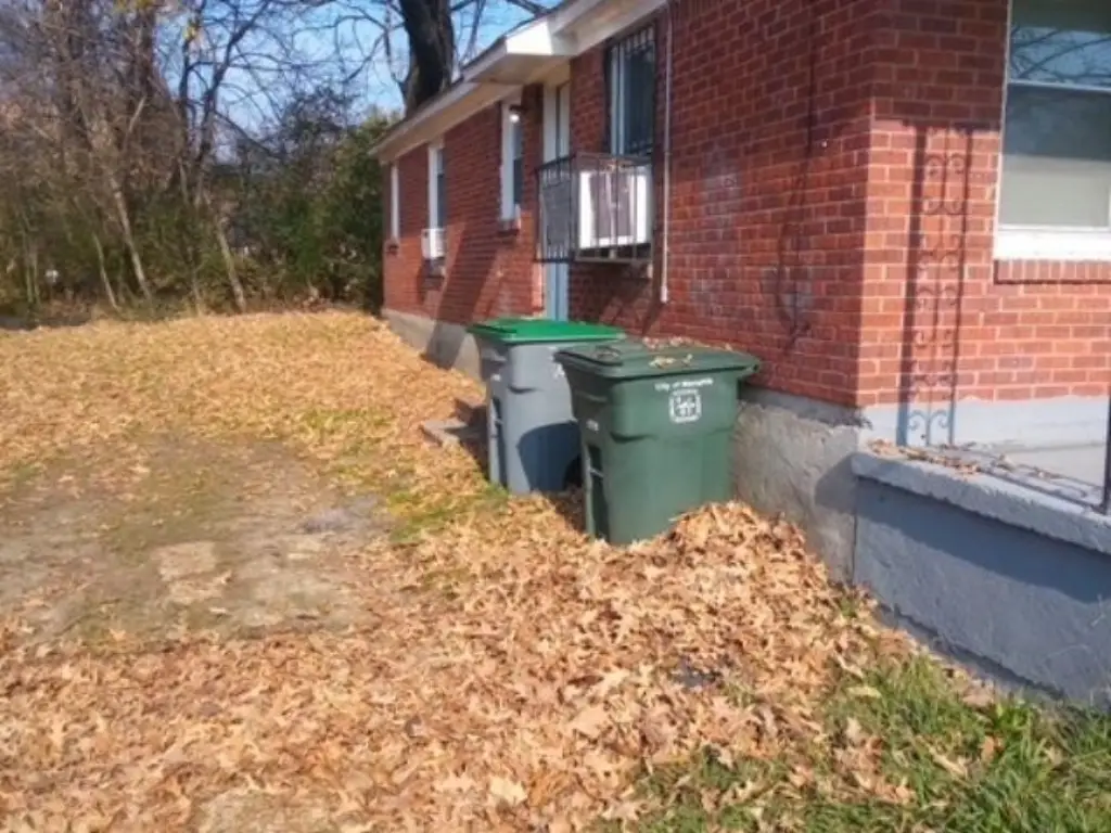 Picture 3
