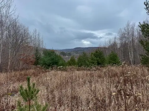 Franklin County Land For Sale