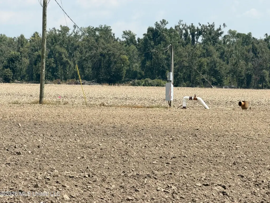 Picture 24