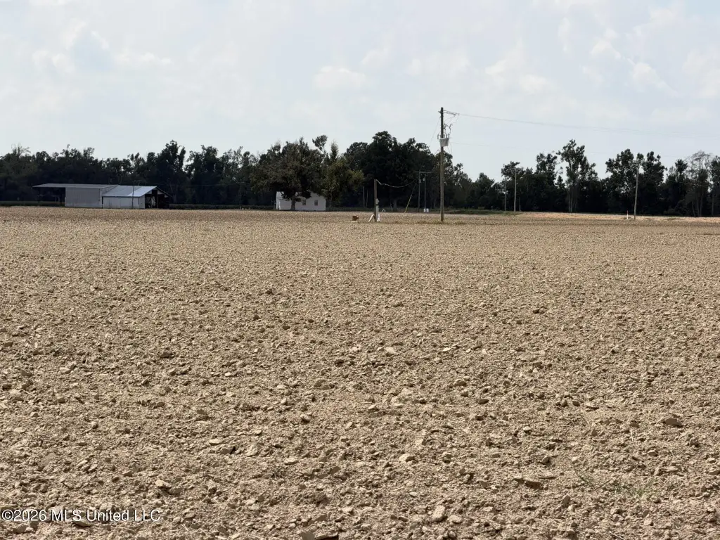 Picture 16