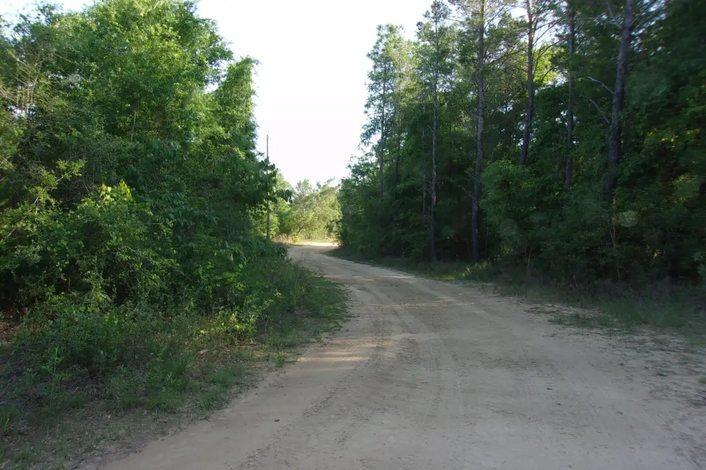 Picture 8