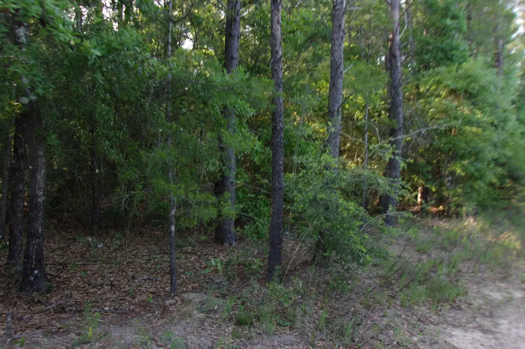 Picture 6