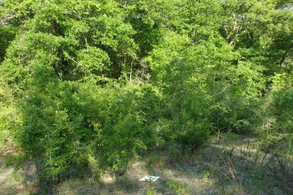 Picture 2