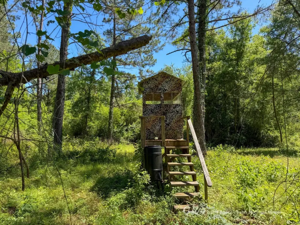 Picture 20