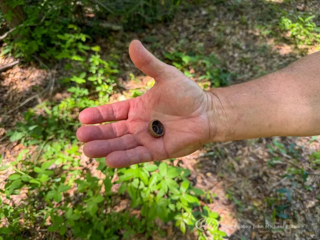 Picture 30