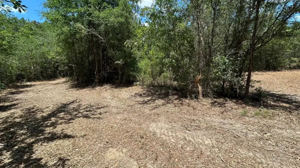 Picture 25